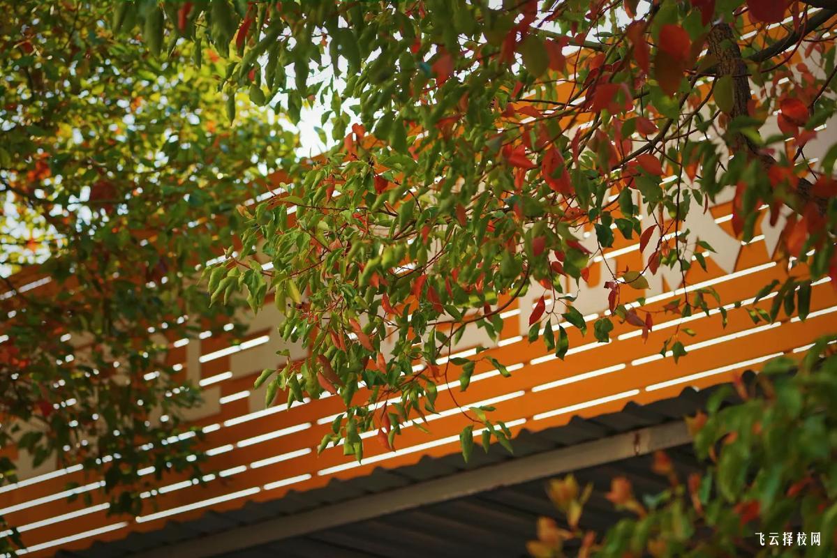 仁壽川科職業學院怎么樣