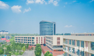 四川城市職業技術學院2024年分數線