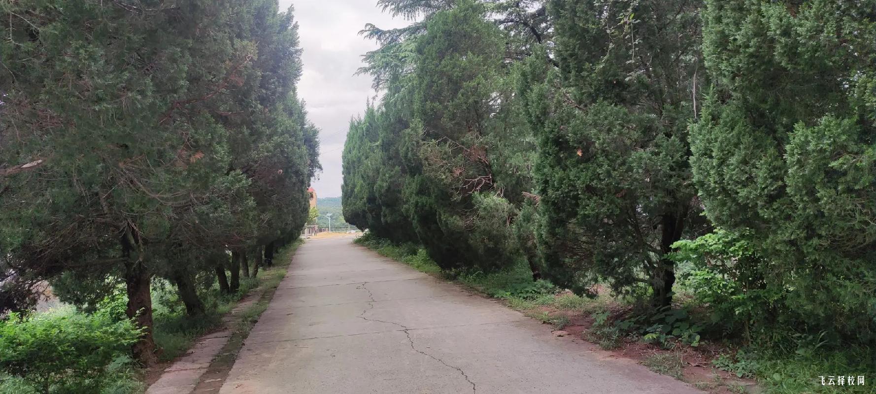 四川電子機械職業技術學院在哪個地方