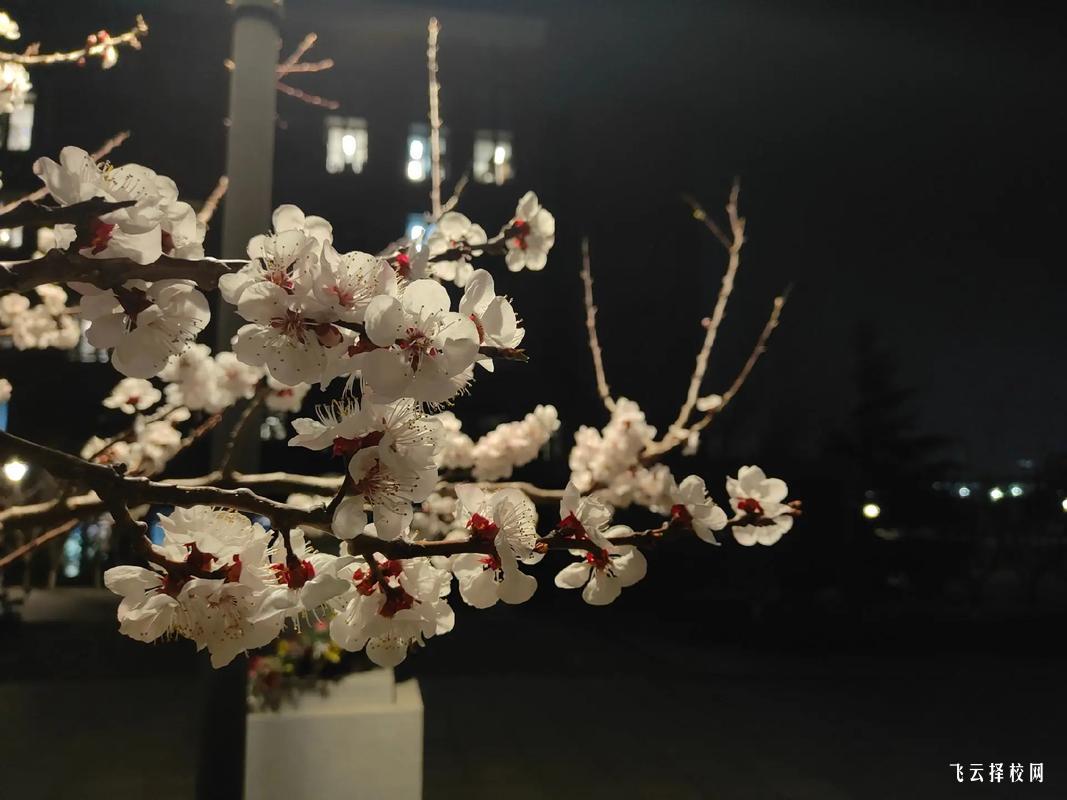 四川工程職業(yè)技術(shù)學(xué)院2025年招生簡章