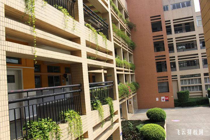 四川公辦院校2024年分數線