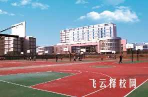 四川華新現代職業學院2025年招生簡章