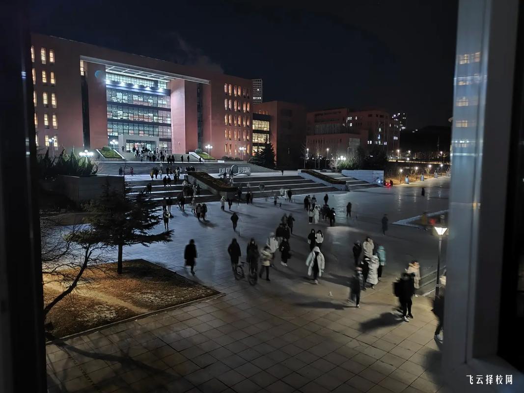 四川九洲技師學院是公辦還是民辦