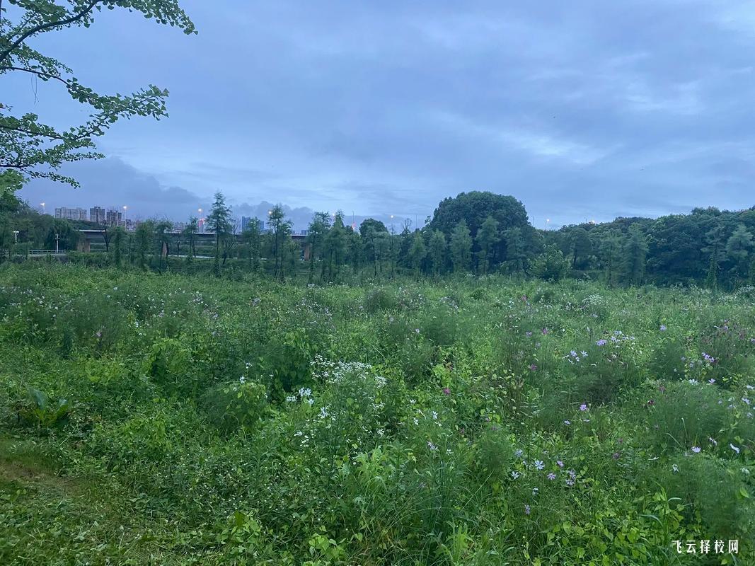 四川科技職業技術學院中專部招生