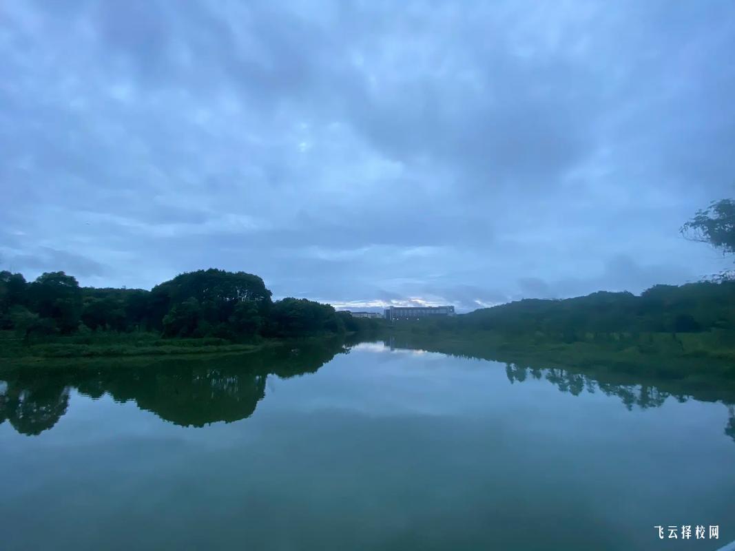 四川理工技師學(xué)院有哪些專業(yè)