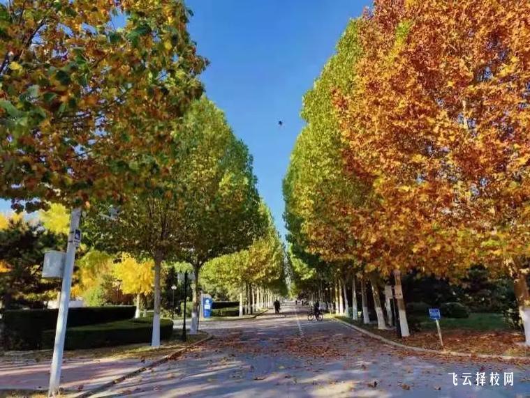 四川理工技術學院招生辦電話