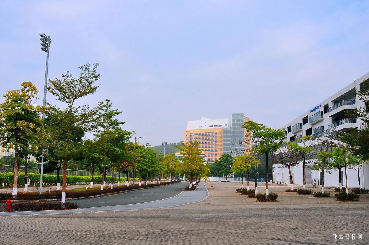 宜賓職業技術學院3+2大專有哪些專業