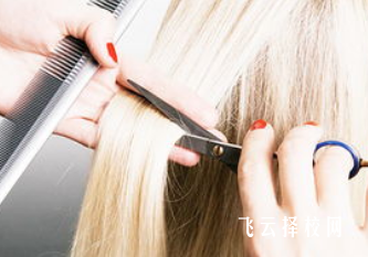 16歲初中畢業的女生學點什么好