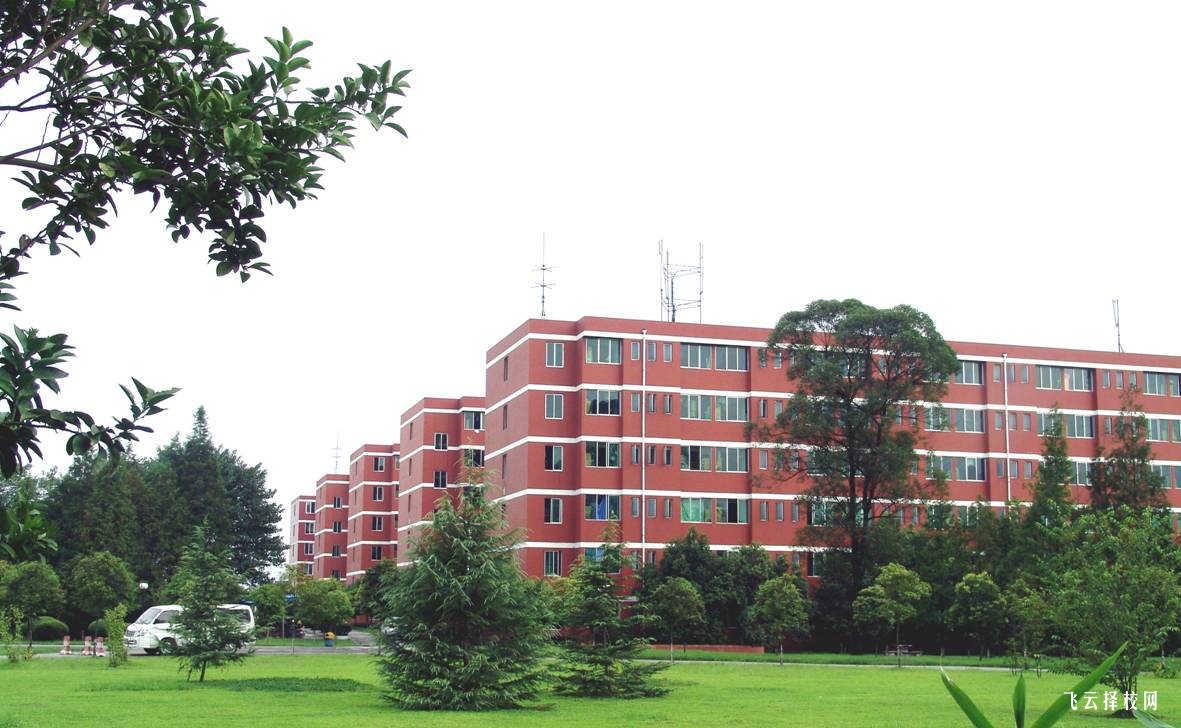 四川省渠縣職業中專學校2025年招生簡章