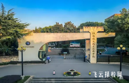 2025年四川單招如何查看學(xué)校的專業(yè)情況