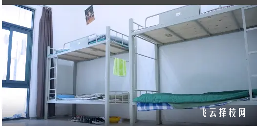 成都哪里有單招信息技術培訓班