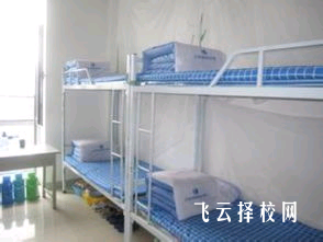 成都文理學院單招多少分能過