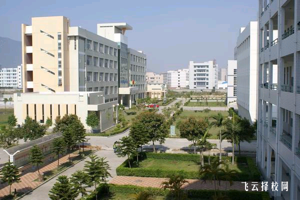 成都專科公辦學校有哪些單招