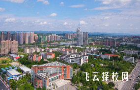 單招高鐵乘務(wù)員專業(yè)學(xué)校推薦四川