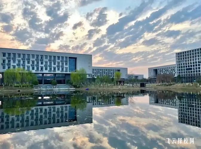 單招通過率提升攻略,新手如何快速上岸