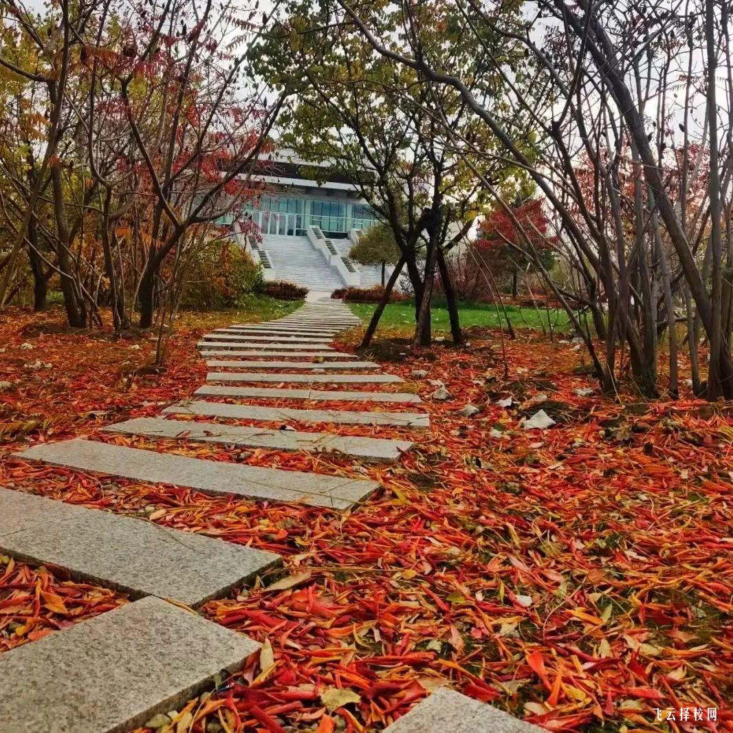 單招需要準備哪些資料,一篇搞定報名流程