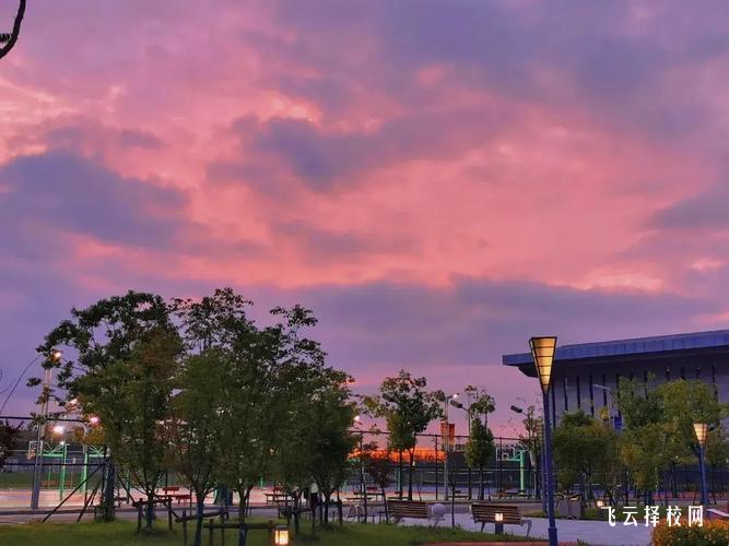 單招需要準備哪些資料,一篇搞定報名流程