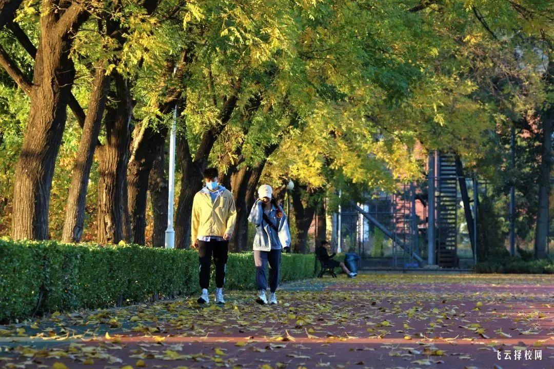 單招真的比高考容易嗎,一文解讀單招的利弊