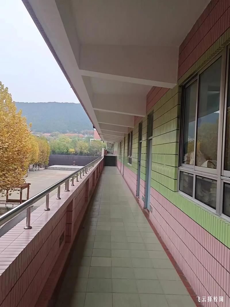 單招最吃香的5個專業