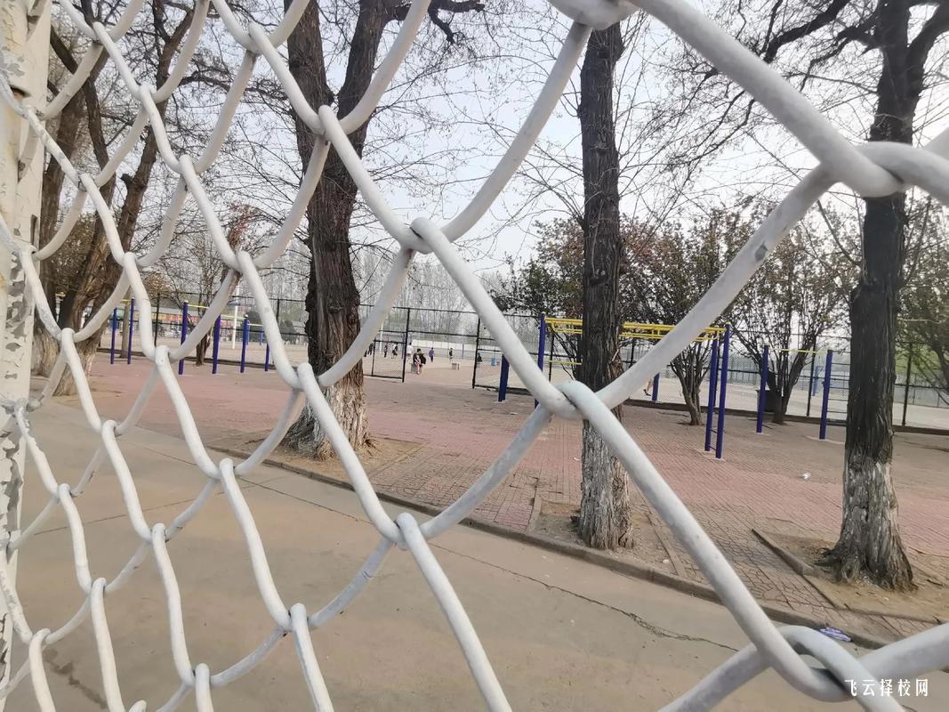 德陽建院2024單招分數線高嗎