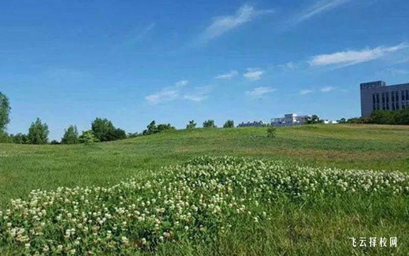 瀘州職業技術學院單招錄取線2024