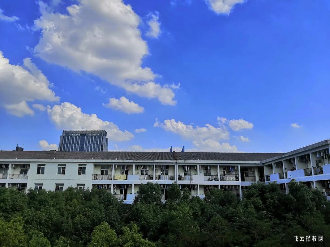 眉山哪里可以參加單招培訓