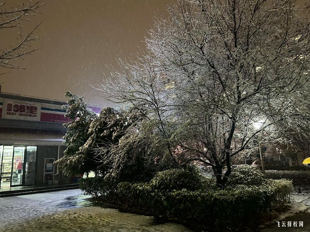 明陽單招培訓網,明陽單招學校地址在哪