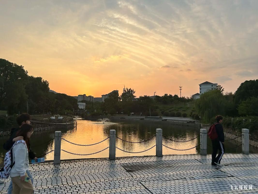 內江單招分數是多少分錄取