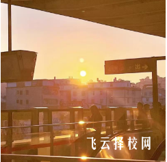 四川單招自學需要買什么資料