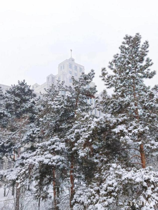 簡陽市育英文武職業技術學校2025年招生簡章