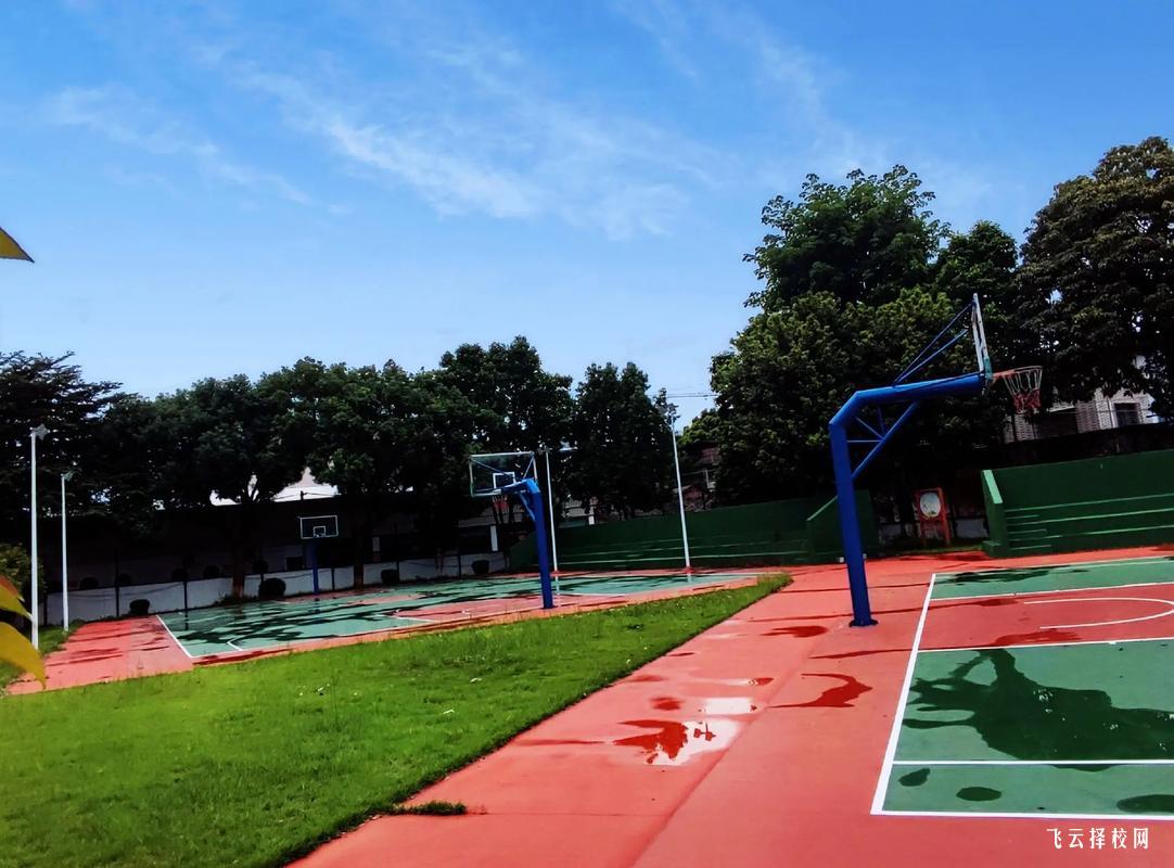 成都市文化藝術學校2025年招生簡章