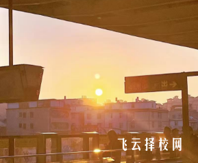 2024年四川單招培訓班費用是多少,如何避免超支?