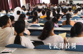 單招培訓班能提高多少分,培訓效果深度分析