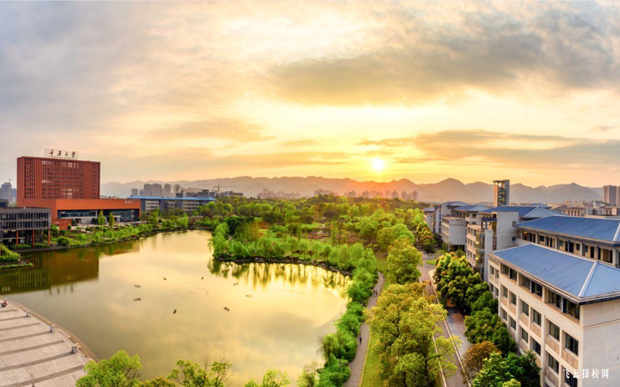 如何通過單招培訓提高錄取概率？成功學員經驗分享