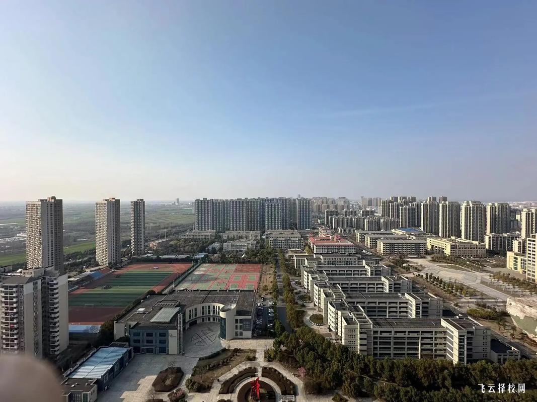 四川單招報考指南,從零開始全流程解析