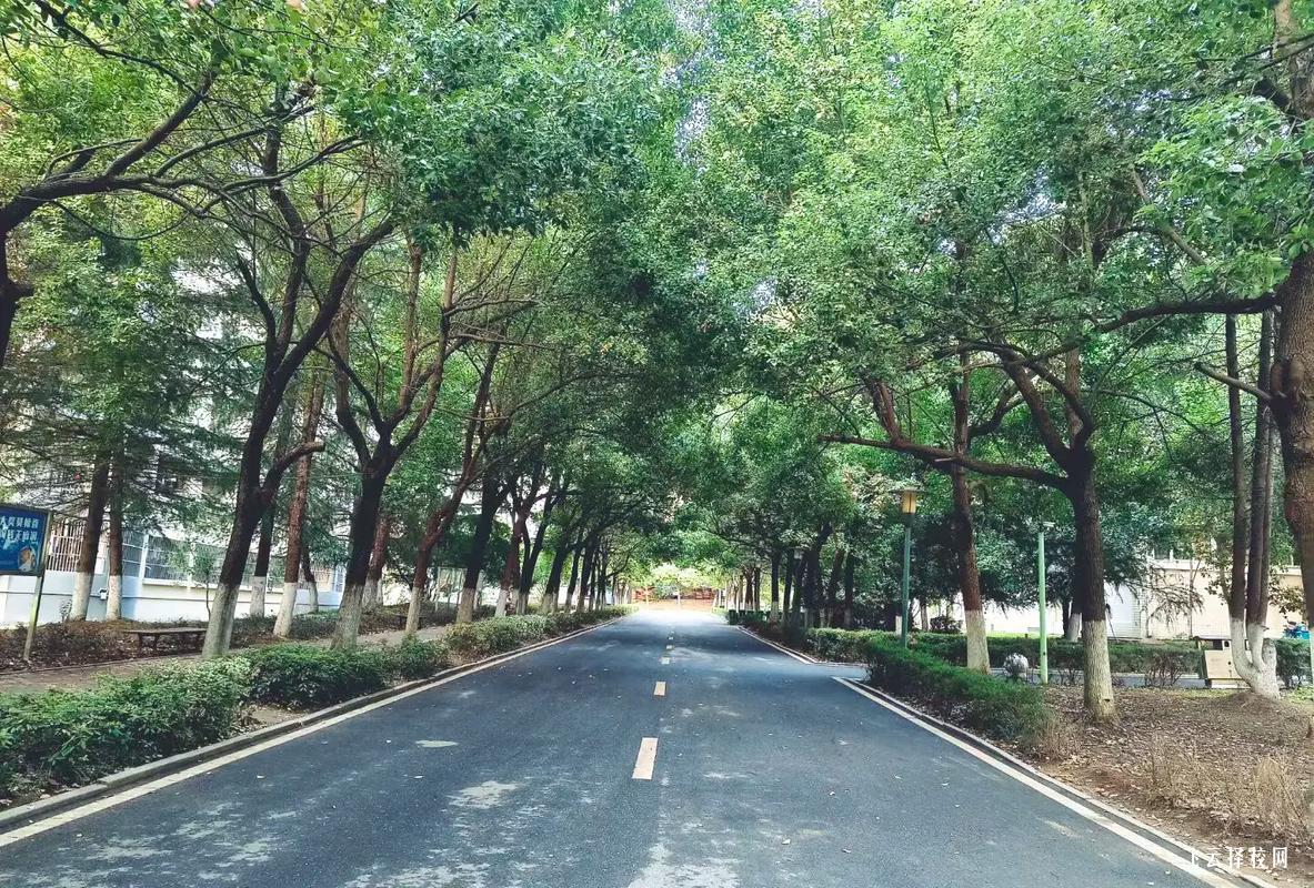 四川單招常見的填報志愿誤區,你知道嗎?