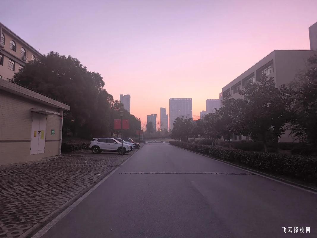 四川單招常見的填報志愿誤區,你知道嗎?