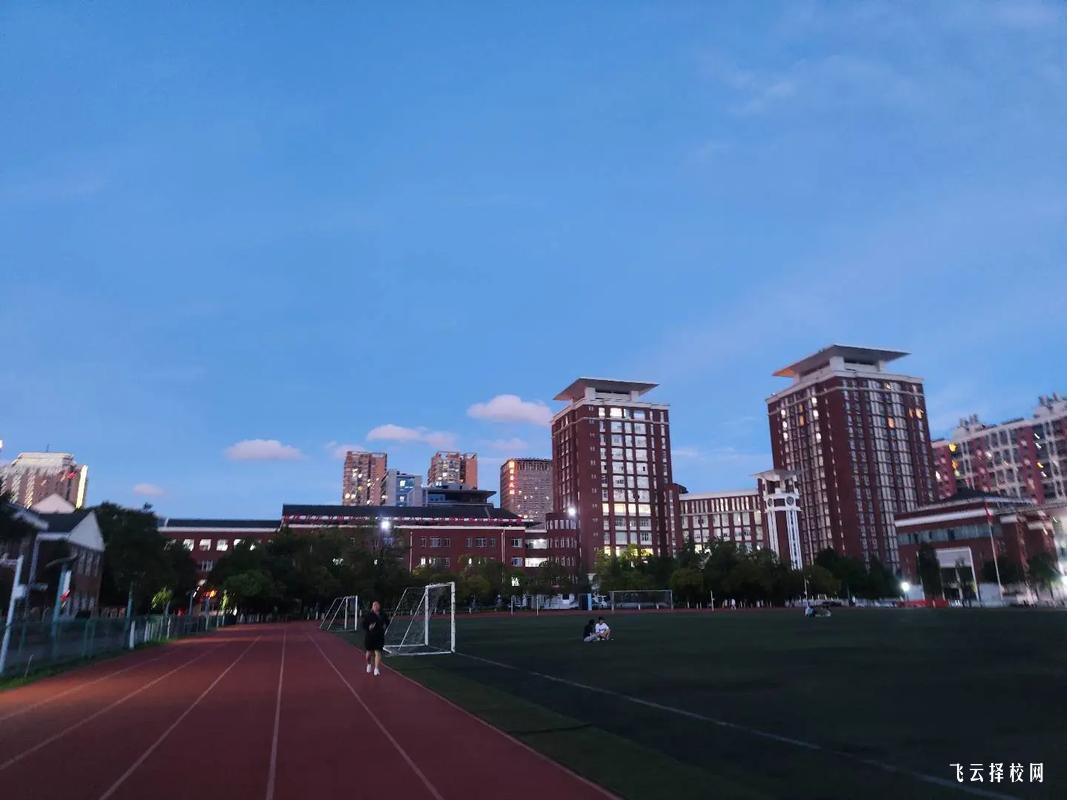 四川單招單科成績查詢方式,如何快速獲取結果?