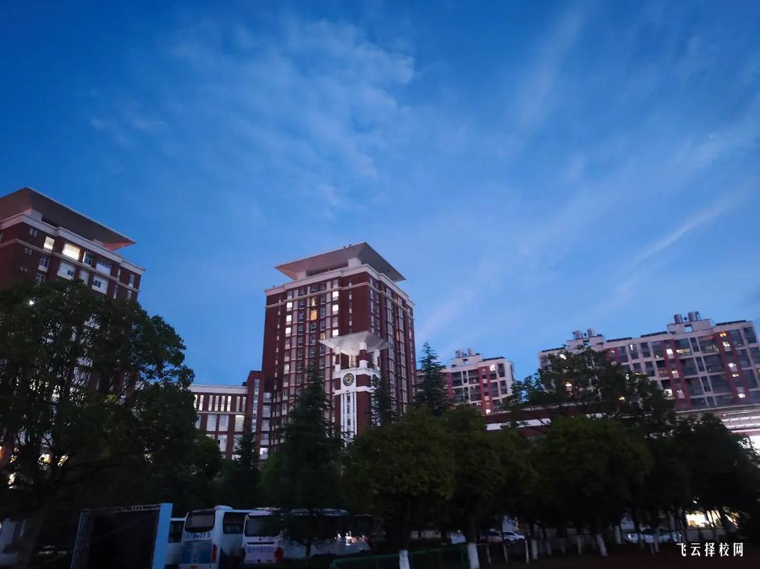 四川單招單科成績對錄取影響有多大,解答你的疑問