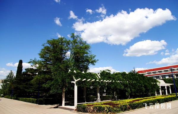 四川單招各大院校招生人數(shù),選報(bào)專業(yè)不再擔(dān)心