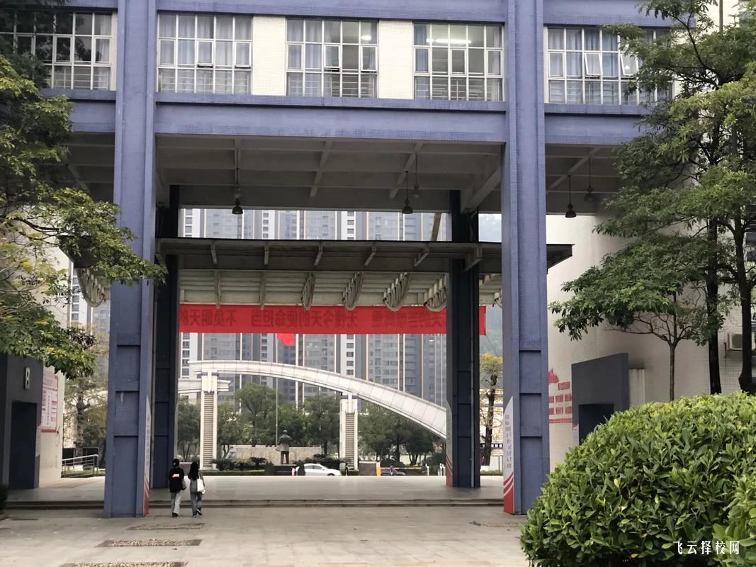 四川單招考試常見問題解答,考生必看!