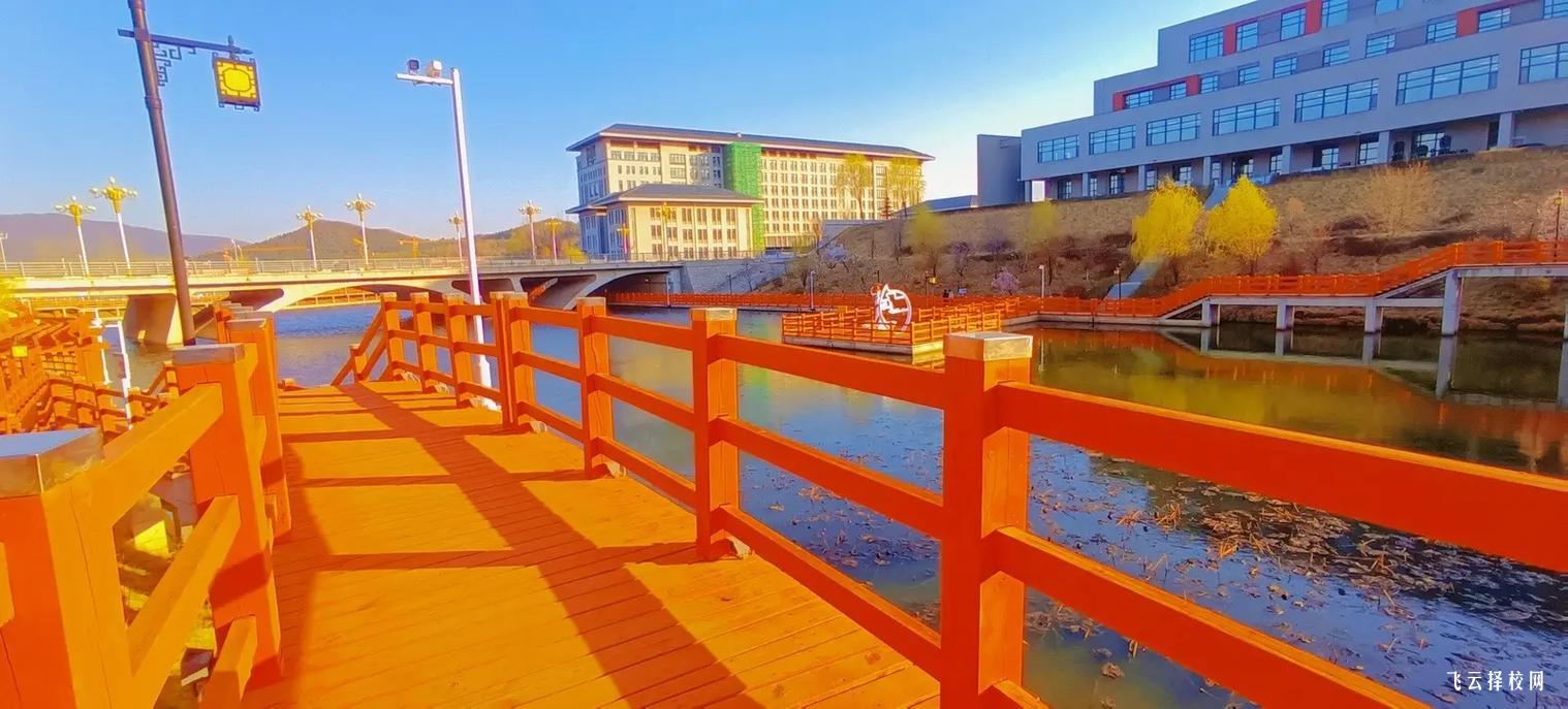 四川單招錄取規(guī)則全面解析,順利進(jìn)入心儀學(xué)校