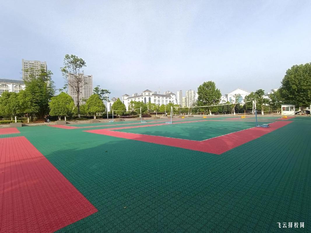 四川單招培訓班的試聽課體驗,幫助你做出選擇