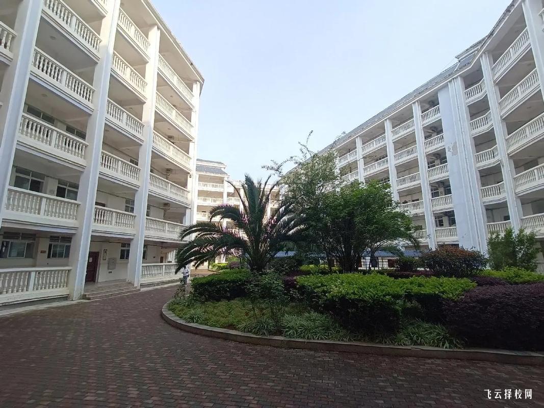 四川單招培訓班的試聽課體驗,幫助你做出選擇