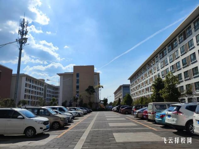 四川單招新政策解析:2025年考試變化一覽