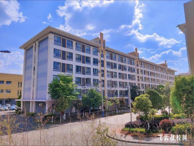 四川單招新政策解析:2025年考試變化一覽