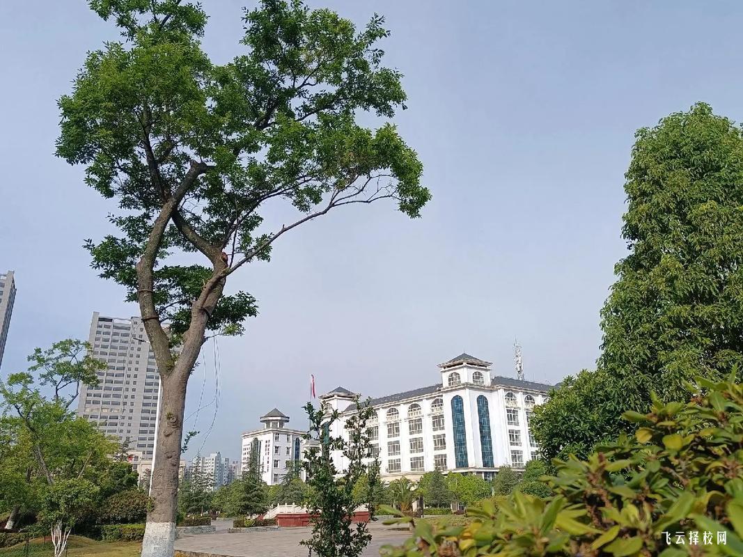 四川單招院校有哪些獎學金政策？考生如何申請？