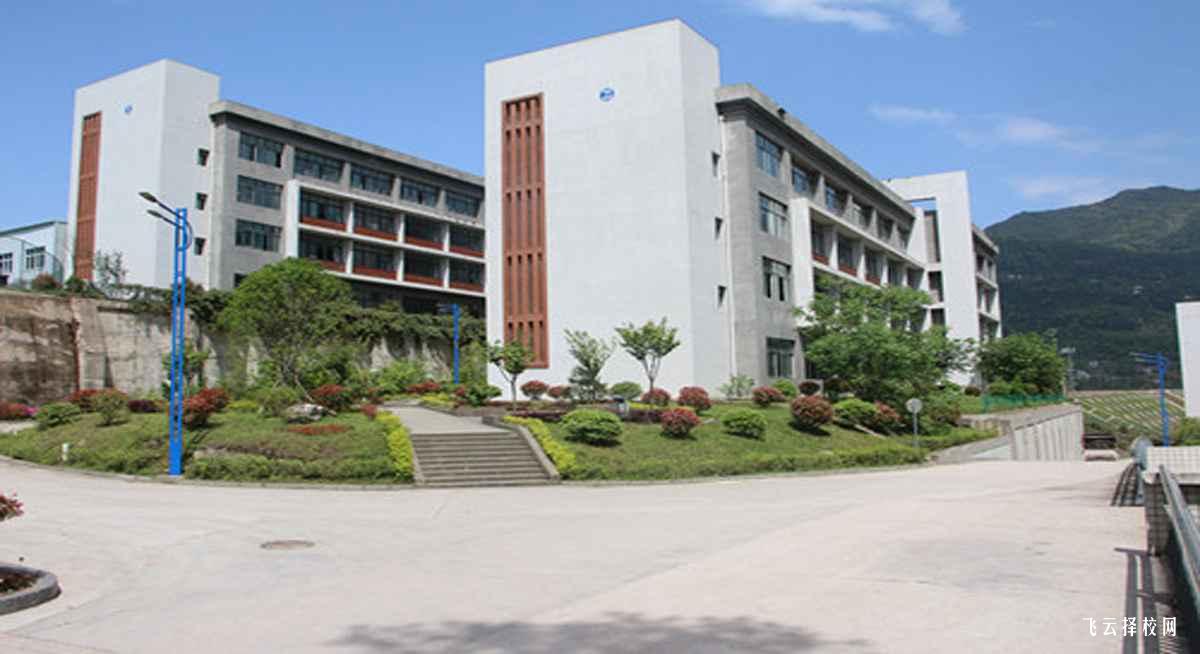 四川單招志愿填報技巧:如何根據專業前景做出明智選擇