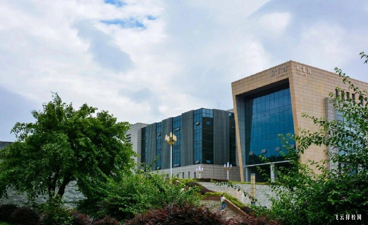 四川單招專科與本科差別解析,你適合選擇哪類?