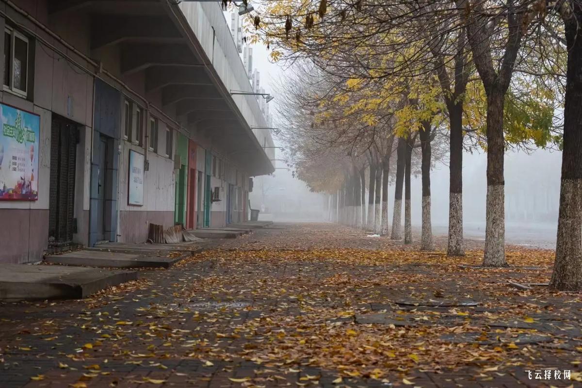 如何根據(jù)興趣選擇職高專業(yè)